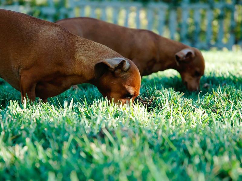 sudoku daily practice